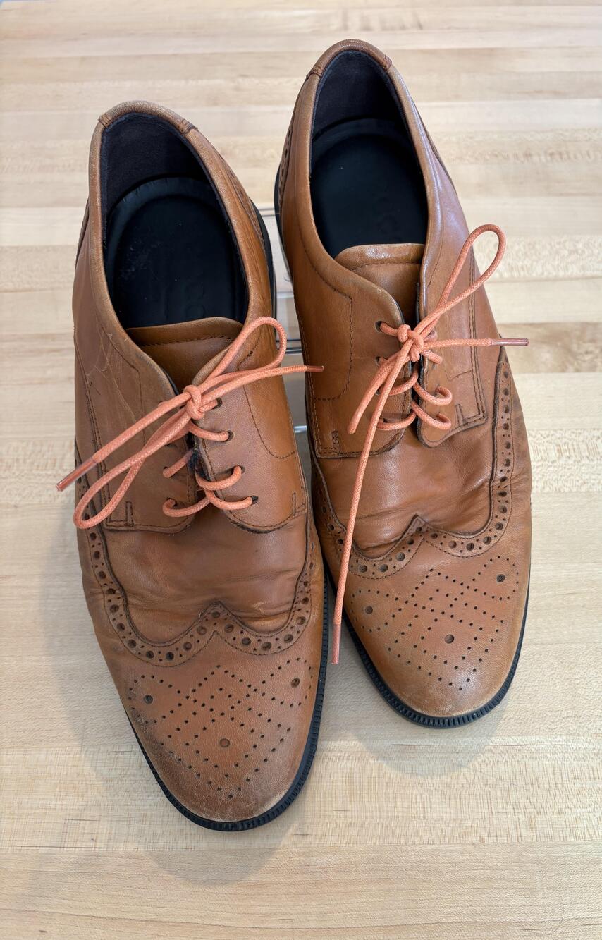 Ecco Biom Wingtip Shoes Mens Size 10.5 Brown Leather Brogue Oxford Dress Comfort